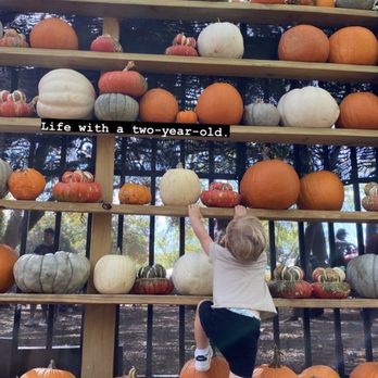 Indian Springs Ranch - Pumpkin Patches Near Me - Manchaca, Texas
