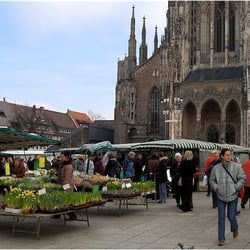 Wochenmarkt