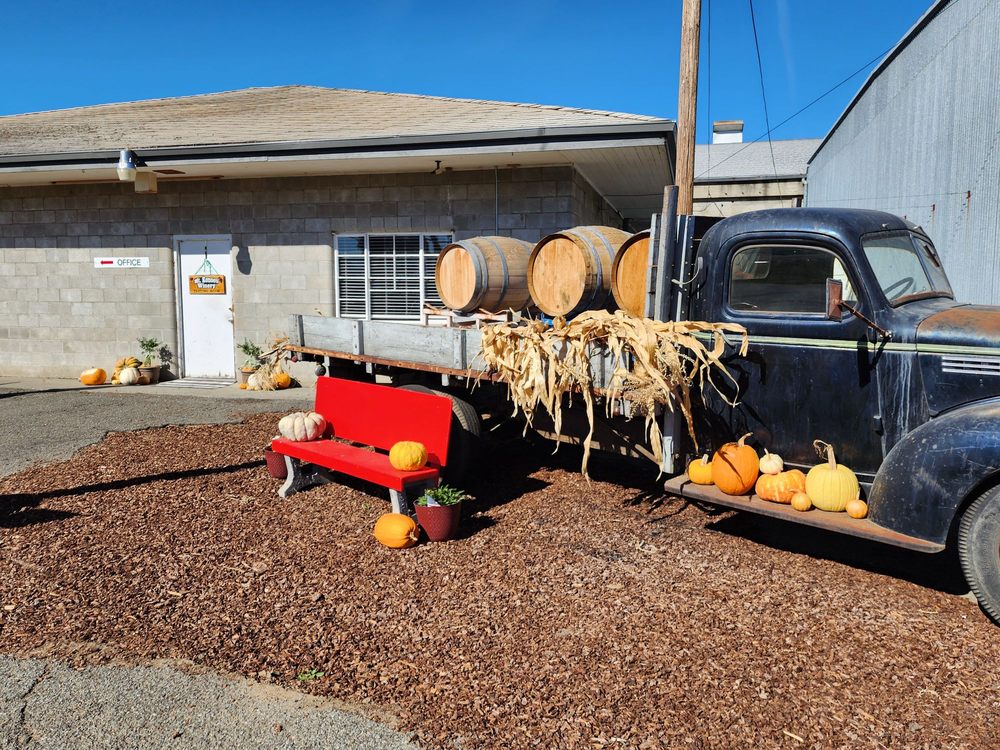 MT KONOCTI WINERY Updated September 2024 12 Reviews 2550 Big