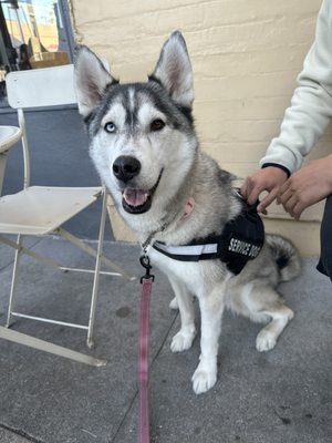 Dumpling Park by null