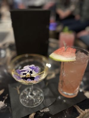 Understory Bar by null