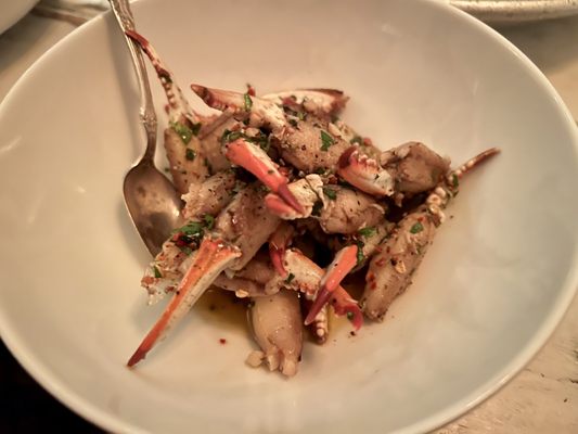 Mosquito Supper Club by null