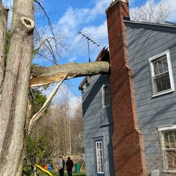 Hojo's Tree Service