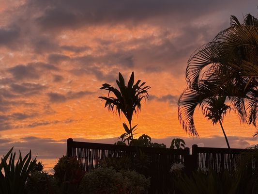 Myths of Maui luau by null