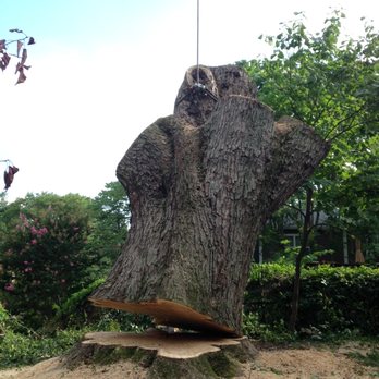 Etree Experts - Tree Removal - Tree Services Near Me - Silver Spring, Maryland Etree Experts - Tree Removal - Tree Services Near Me - Silver Spring, Maryland