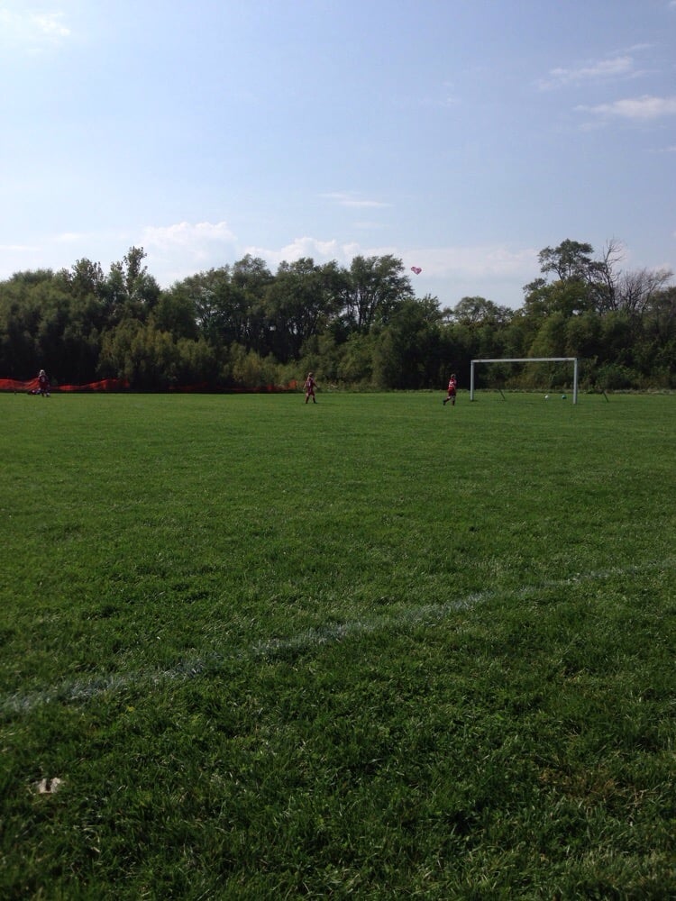 White Hawk Soccer Field Logo