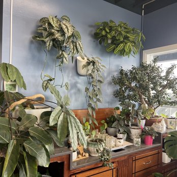 Silver Lining Cafe - Coffee & Tea Near Me - Port Angeles, Washington