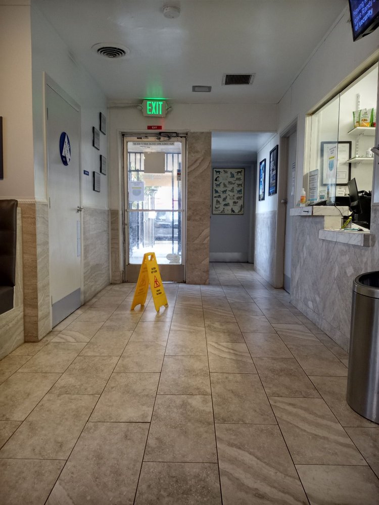 ALAMEDA ANIMAL HOSPITAL 23 Photos & 67 Reviews 925 S Alameda St