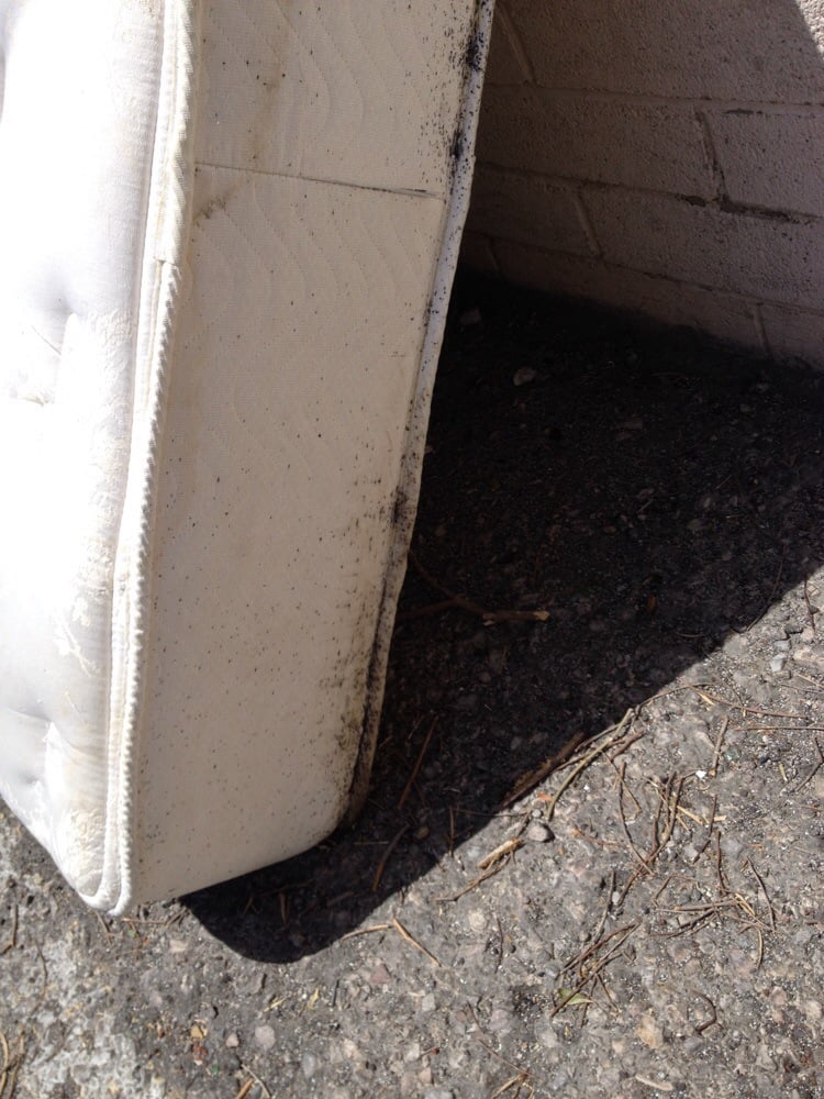 SOMERSET APARTMENTS Updated June 2024 3064 Kishner Dr, Las Vegas