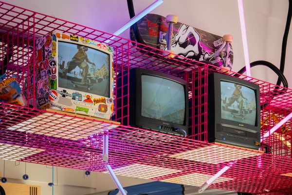 Chick & Hawk by null