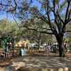 Salvadore Park gift card