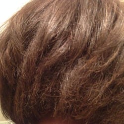 Great Clips - Frizzy can't comb through ends in the back