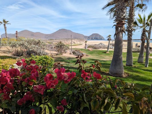 El Faro Beach Club & Spa by null