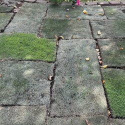 Southern Turf Hawaii - None of the squares matched each other