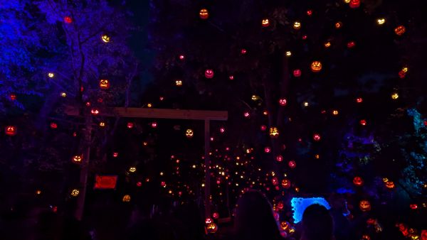 Roger Williams Park Zoo by null