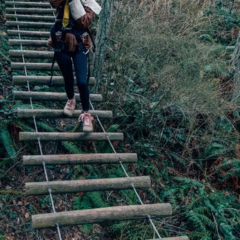 Canopy Tours Northwest - Tours Near Me - Camano Island, Washington Canopy Tours Northwest - Tours Near Me - Camano Island, Washington