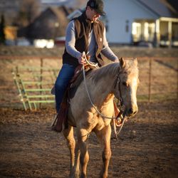 Double Diamond Hill Ranch