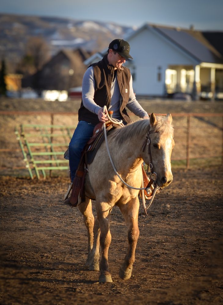 Double Diamond Hill Ranch - equestrian in West Bountiful, UT