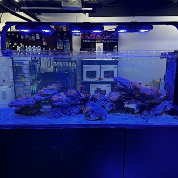 Reef eScape - Aquarium Services Near Me - Fairfax, Virginia