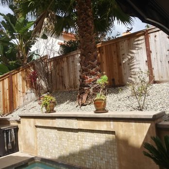 Marco's Garden Services - a palm tree and a pool - Gardeners Near Me - Lake Forest, California Marco's Garden Services - a palm tree and a pool - Gardeners Near Me - Lake Forest, California
