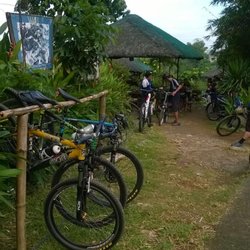 Biker's Cafe