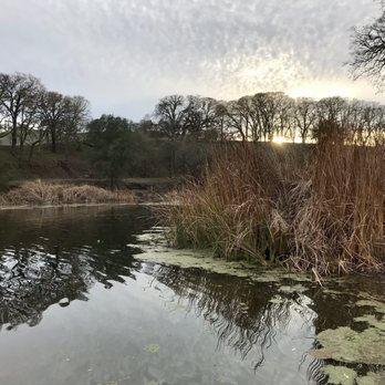 Hidden Lakes Park - So peaceful - Parks Near Me - Martinez, California