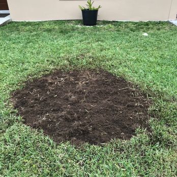 Trimscape - a hole in the ground in front of a house - Landscaping Near Me