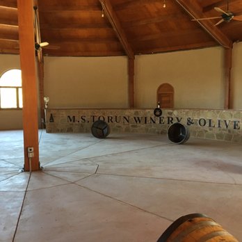 MS Torun Winery - Under construction amphitheater - Wine Tasting Room Near Me - Napa, California MS Torun Winery - Under construction amphitheater - Wine Tasting Room Near Me - Napa, California