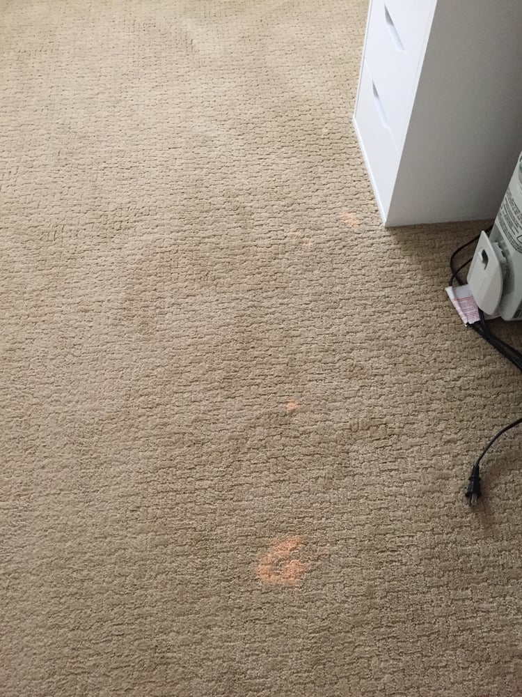 LANGENWALTER CARPET DYEING Updated June 2024 10 Photos 5572 E La