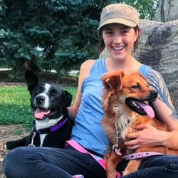 Haley Howe's Sound Hounds