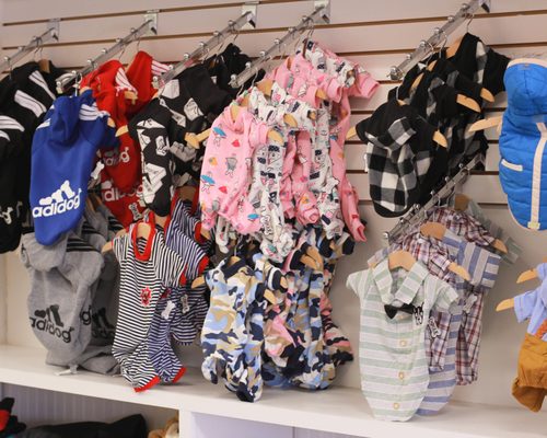 Dogue Grooming & Pet Boutique by null