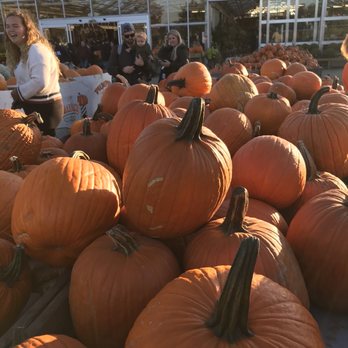 Linvilla Orchards - Farmers Market Near Me - Media, Pennsylvania Linvilla Orchards - Farmers Market Near Me - Media, Pennsylvania