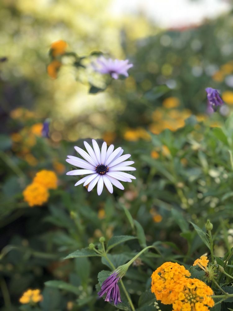 KAISER PERMANENTE 32 Photos & 41 Reviews 611 Milpitas Blvd