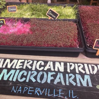Logan Square Farmers Market - Farmers Market Near Me - Chicago, Illinois
