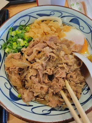 Marugame Udon by null