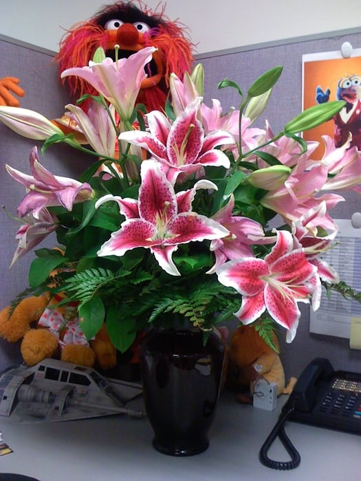 MAIN STREET FLORIST Updated September 2024 2991 N Main St, Walnut