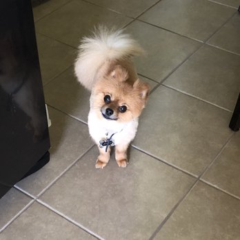 Pearland Barkway - Pet Groomers Near Me - Pearland, Texas Pearland Barkway - Pet Groomers Near Me - Pearland, Texas