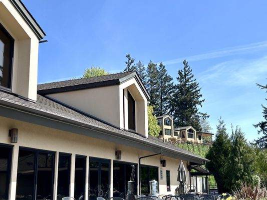 Willamette Valley Vineyards by null