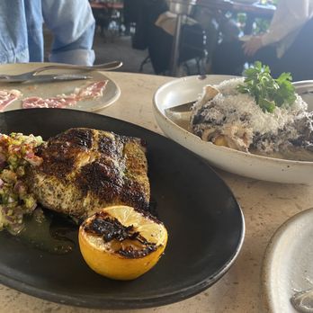 Manuela - Grilled Yellowtail, Castelvetrano Olives, Red Onion, Celery Aioli, Lemon  Perfectly grilled. It's very fresh. The seasoning is perfect too - New American Near Me - Los Angeles, California