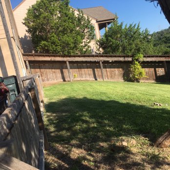 Cedar Park Tree Experts - They removed the stump too, so no trip hazard. - Tree Services Near Me - Cedar Park, Texas