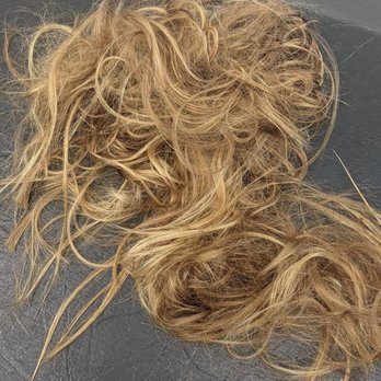 A Kut Above - We took a lot of hair off! - Hair Salons Near Me - Garner, North Carolina A Kut Above - We took a lot of hair off! - Hair Salons Near Me - Garner, North Carolina