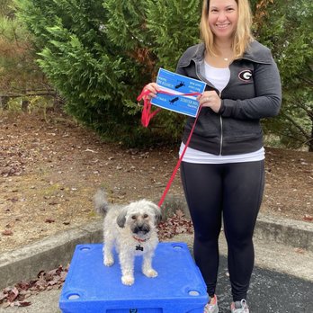 Scooter Dog Training - Pet Training Near Me - Holly Springs, Georgia Scooter Dog Training - Pet Training Near Me - Holly Springs, Georgia
