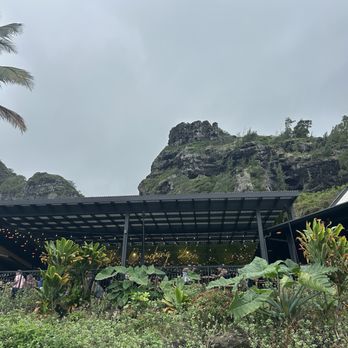 The Crouching Lion - Beer Bar Near Me - Kaaawa, Hawaii The Crouching Lion - Beer Bar Near Me - Kaaawa, Hawaii