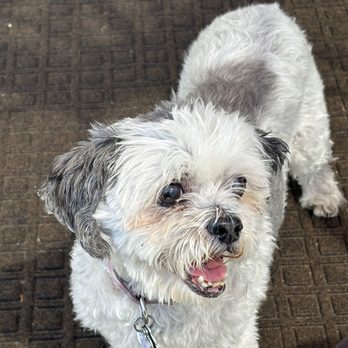 Mixlab - Pet Services Near Me - Los Angeles, California Mixlab - Pet Services Near Me - Los Angeles, California