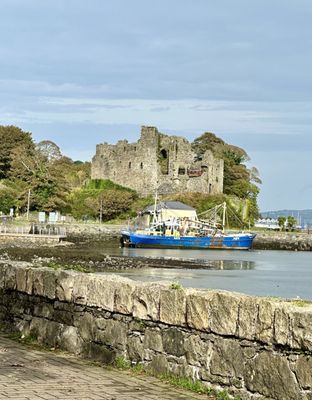 Carlingford Castle by null