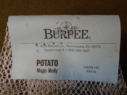 Burpee Seeds and Plants by null