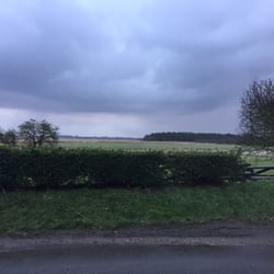 Nelsons Head