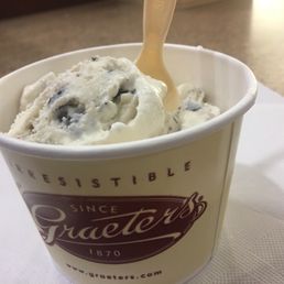 Mint Chocolate Chip Ice Cream