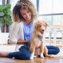 Karma Dog Training