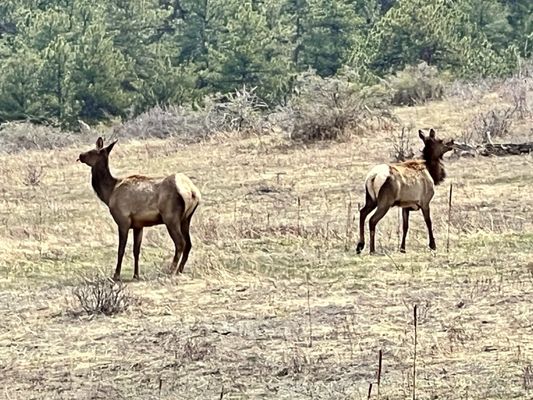 Windy Saddle Park by null